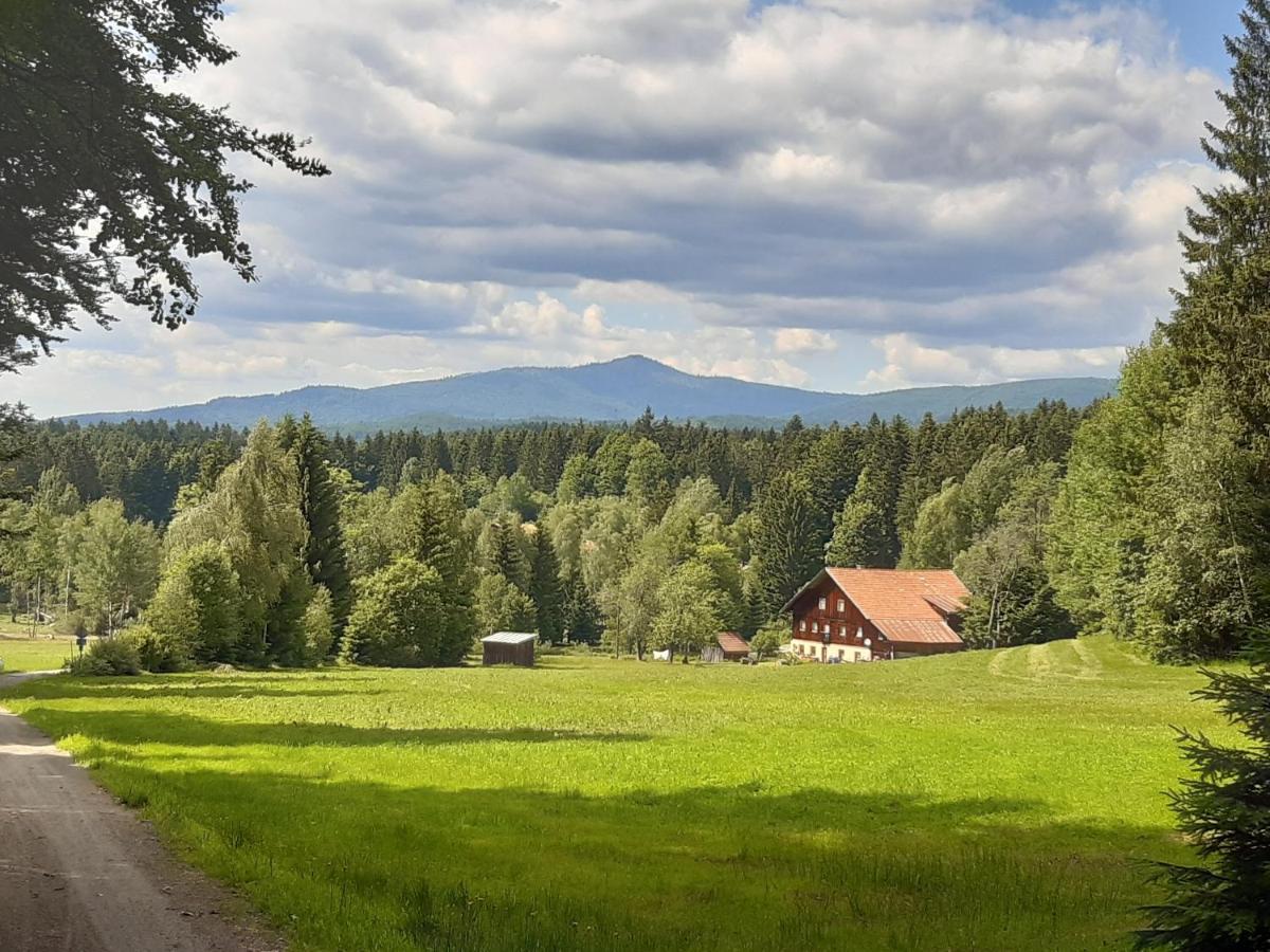 Anno - Wohlfuehlen Am Bachal In Altschoenau 纽舒瑙 外观 照片